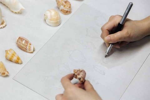 STPI X LKCNHM | Traces of Life (Drypoint Etching Workshop)